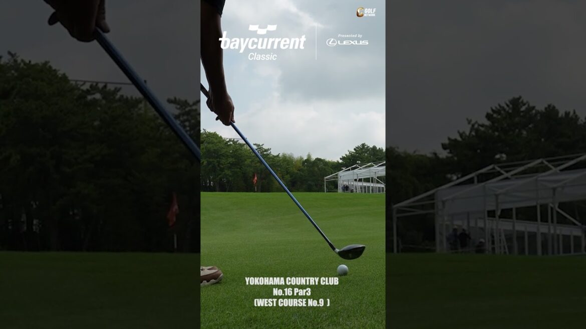 シグネチャーホール16番パー3のグリーン周り【Baycurrent Classic Presented by LEXUS】 シグネチャーホール16番パー3のグリーン周り【Baycurrent Classic Presented by LEXUS】