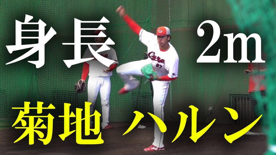 広島東洋カープ秋季キャンプ  室内練習 #菊地ハルン