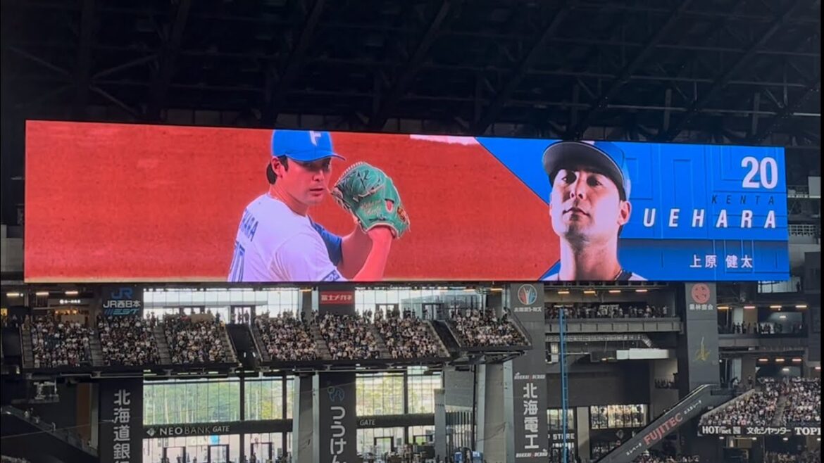 2025 ファイターズ 上原健太 登場曲 VOICE/YOSHI