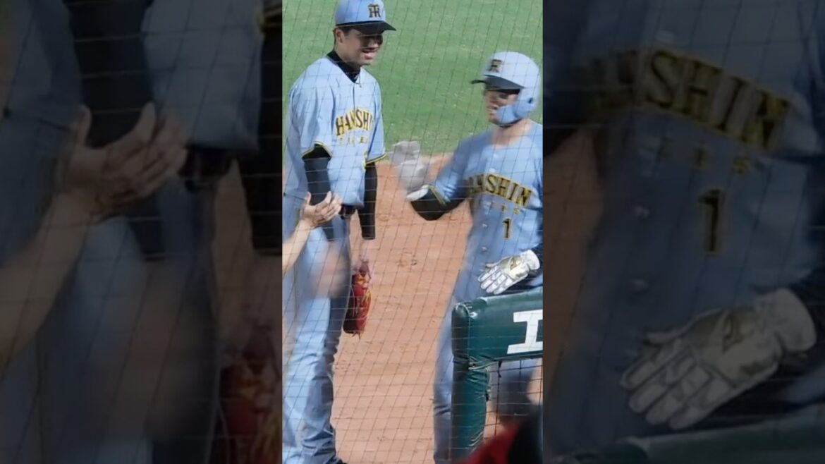 【得点ラッシュ】大山の2点タイムリーで生還した中野森下を迎える阪神ナイン