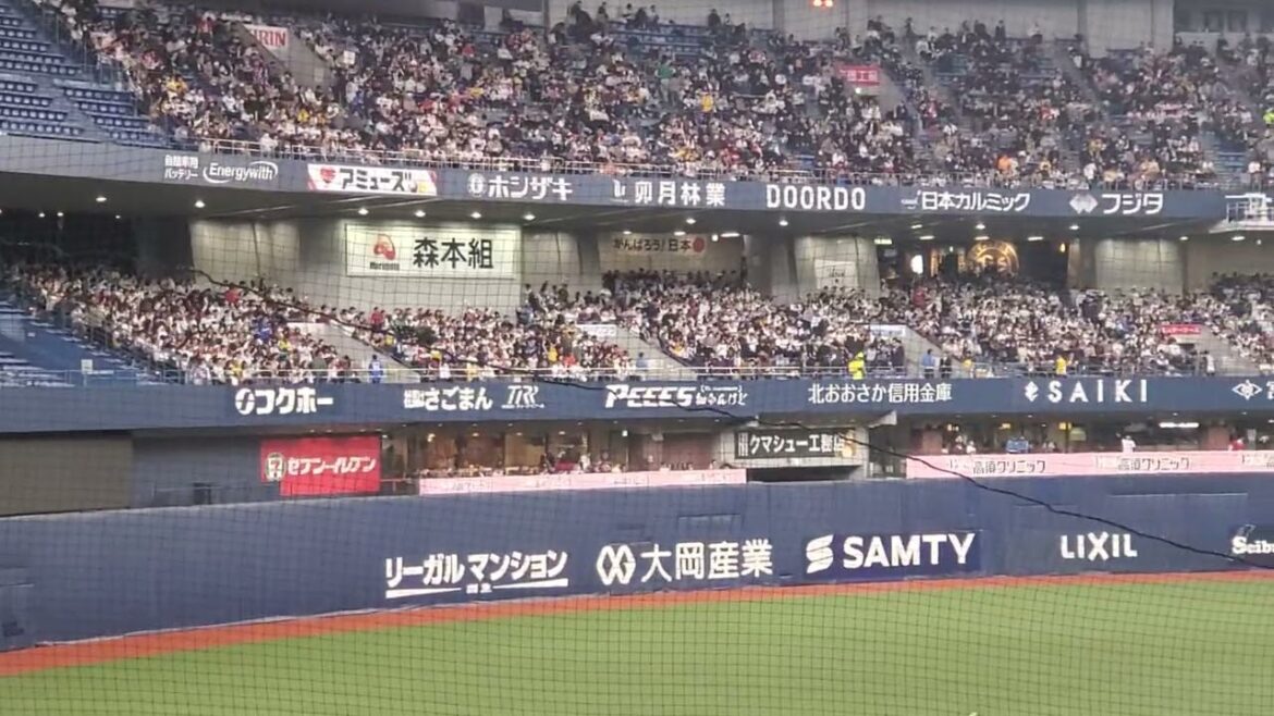 20250306【現地】T－岡田のカーニバル♪からの〜河野竜生が登板　6回ｳﾗ　北海道日本ﾊﾑﾌｧｲﾀｰｽﾞ　侍ｼﾞｬﾊﾟﾝ野球日本代表@京ｾﾗﾄﾞｰﾑ大阪･内野3塁下段 侍ｼﾞｬﾊﾟﾝ強化試合