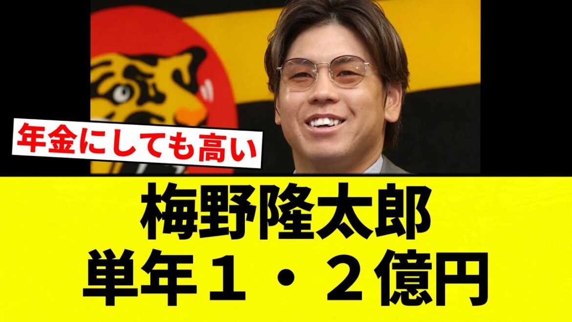 【高いバイ！！】梅野隆太郎 単年１・２億円【プロ野球反応集】【2chスレ】【なんG】