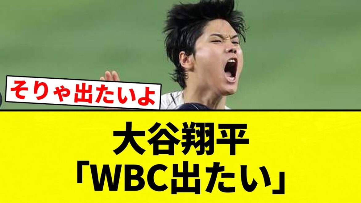 【よーやっとる】大谷翔平「WBC出たい」【プロ野球反応集】【2chスレ】【なんG】