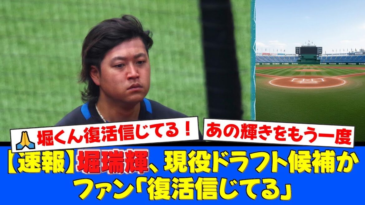 【日本ハム】元・最優秀中継ぎの堀瑞輝が現役ドラフト候補に。二軍では防御率1.65と圧巻の成績を残しており、環境が変われば復活するとの報道にファンから様々な声【プロ野球ファンの反応】 【日本ハム】元・最優秀中継ぎの堀瑞輝が現役ドラフト候補に。二軍では防御率1.65と圧巻の成績を残しており、環境が変われば復活するとの報道にファンから様々な声【プロ野球ファンの反応】