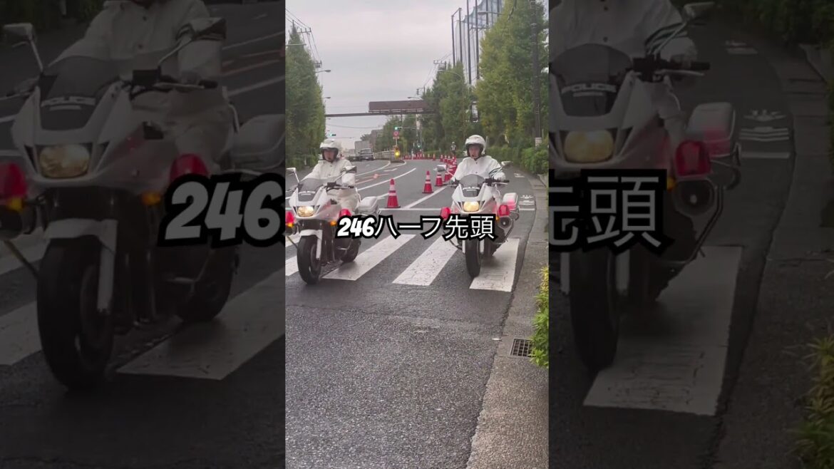 246ハーフマラソン2025先頭17kmすぎ山口翔輝（創価大）2位ポールクイラ