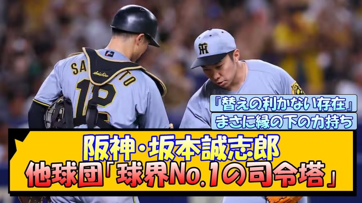 阪神・坂本誠志郎 他球団「球界No.1の司令塔」