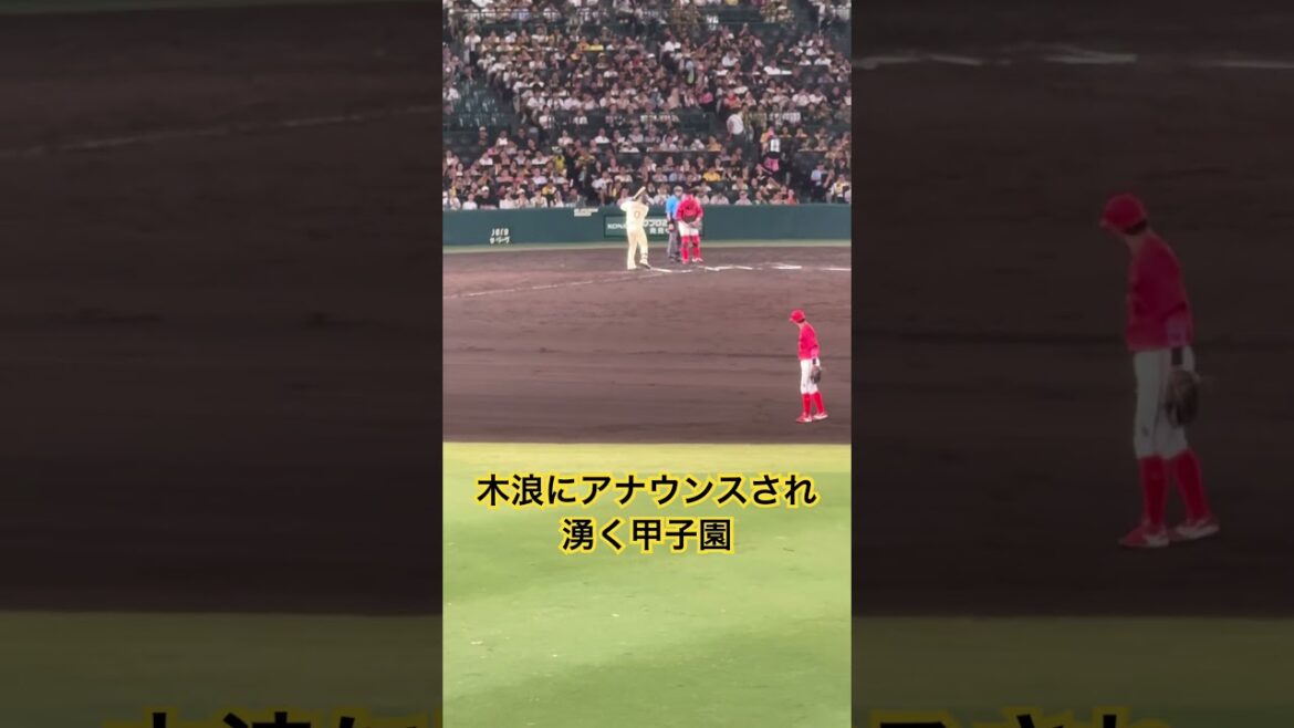 #木浪聖也 一軍復帰代打で出場 すごい歓声 #阪神タイガース #hanshintigers #甲子園 #プロ野球
