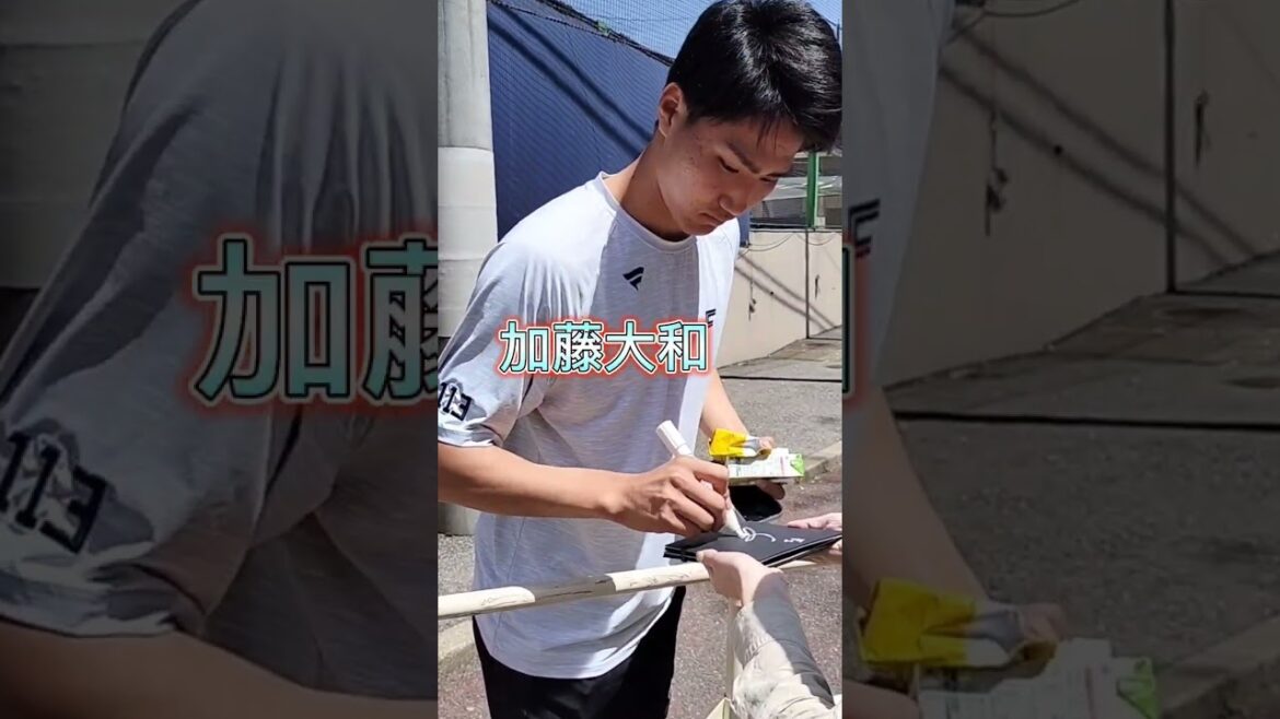 【FIGHTERS】 #加藤大和 投手 背番号113のファンサービス #shorts ##北海道日本ハムファイターズ #プロ野球 #サイン会