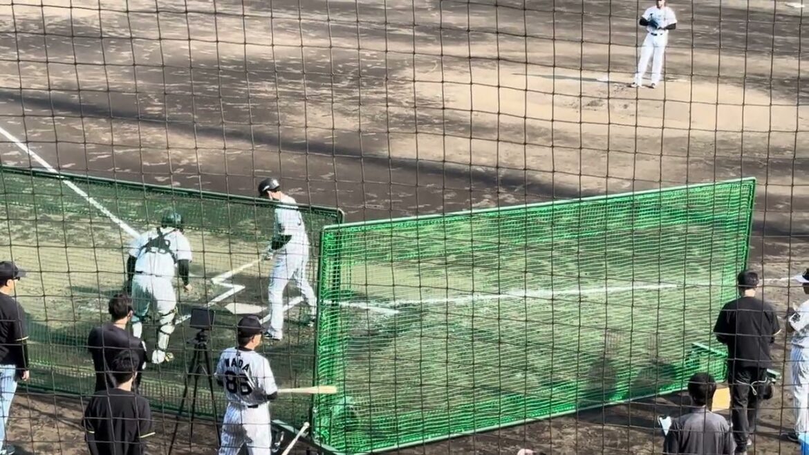 6月1日(僕の誕生日)阪神タイガース 小幡竜平 シートバッティング※備忘録