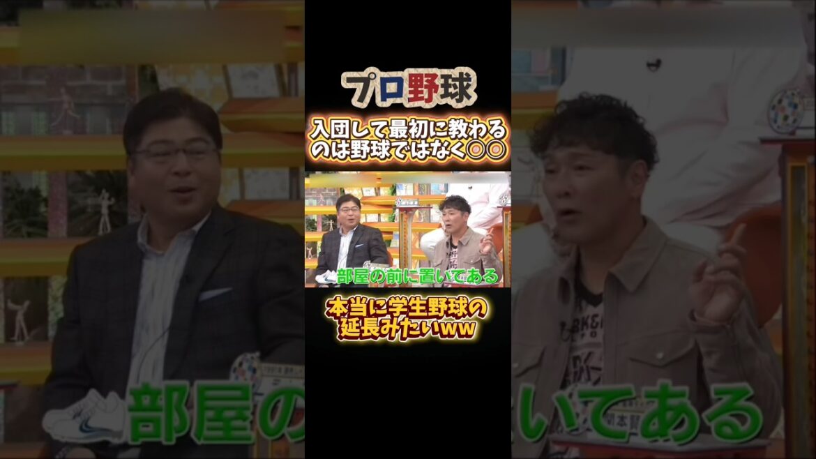 最初はみんなそんなことするんや… #npb #野球 #プロ野球 #面白い #面白い動画 #おもしろ #おもしろ動画 #安部友裕 #ダウンタウン #浜田雅功 #広島東洋カープ #2軍 #shorts 最初はみんなそんなことするんや… #npb #野球 #プロ野球 #面白い #面白い動画 #おもしろ #おもしろ動画 #安部友裕 #ダウンタウン #浜田雅功 #広島東洋カープ #2軍 #shorts