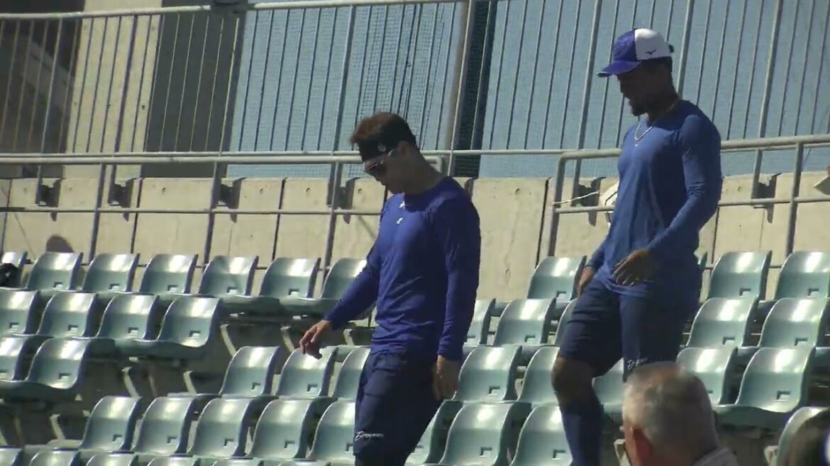 【中日ドラゴンズ 秋季キャンプ 2025】 細川成也選手・ブライト健太選手・橋本侑樹投手 ・梅野雄吾投手・勝野昌慶投手・福元悠真選手の階段トレーニングの様子 2025/11/15 ナゴヤ球場