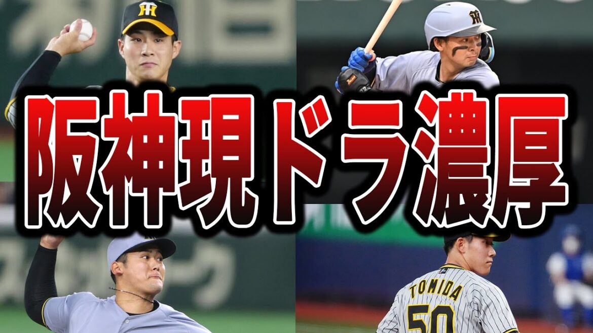 【タイガース】阪神の現役ドラフトで移籍しそうな選手たち