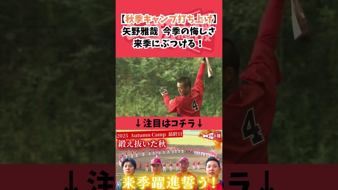 矢野雅哉🔥今季の悔しさを来季にぶつける！【球団認定】カープ全力応援チャンネル