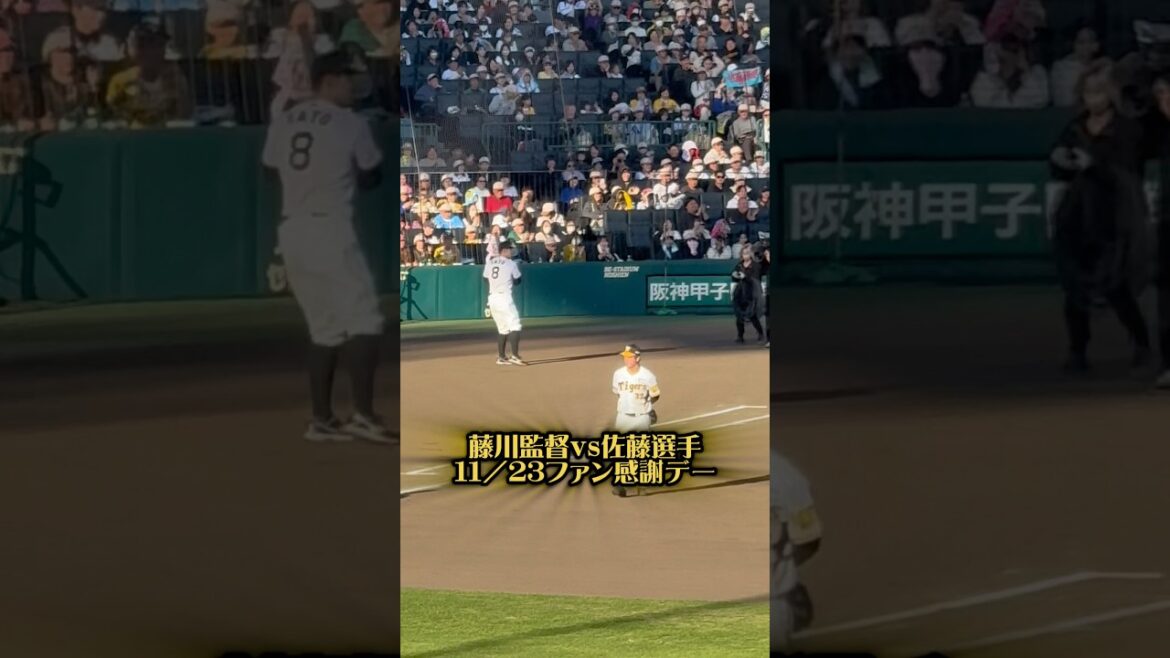 藤川監督vs佐藤輝明選手 25/11/23 #阪神タイガース #阪神 #阪神ファン #佐藤輝明 #藤川球児 #藤川監督 #hanshintigers #プロ野球 #ファン感謝デー #甲子園 #野球