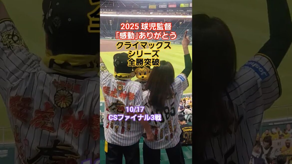 2025阪神タイガース クライマックスシリーズ　日本シリーズ #阪神タイガース #クライマックスシリーズ #日本シリーズ #hanshintigers #プロ野球 #佐藤輝明 #藤川球児 #ショート