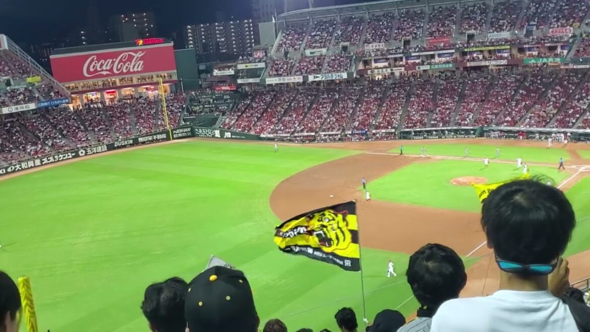 20240927【現地】小野寺暖が送りバント成功→【突撃四発】で盛り上がる　9回表　阪神ﾀｲｶﾞｰｽ@MAZDA Zoom-Zoom ｽﾀｼﾞｱﾑ広島･ﾋﾞｼﾞﾀｰﾊﾟﾌｫｰﾏﾝｽ