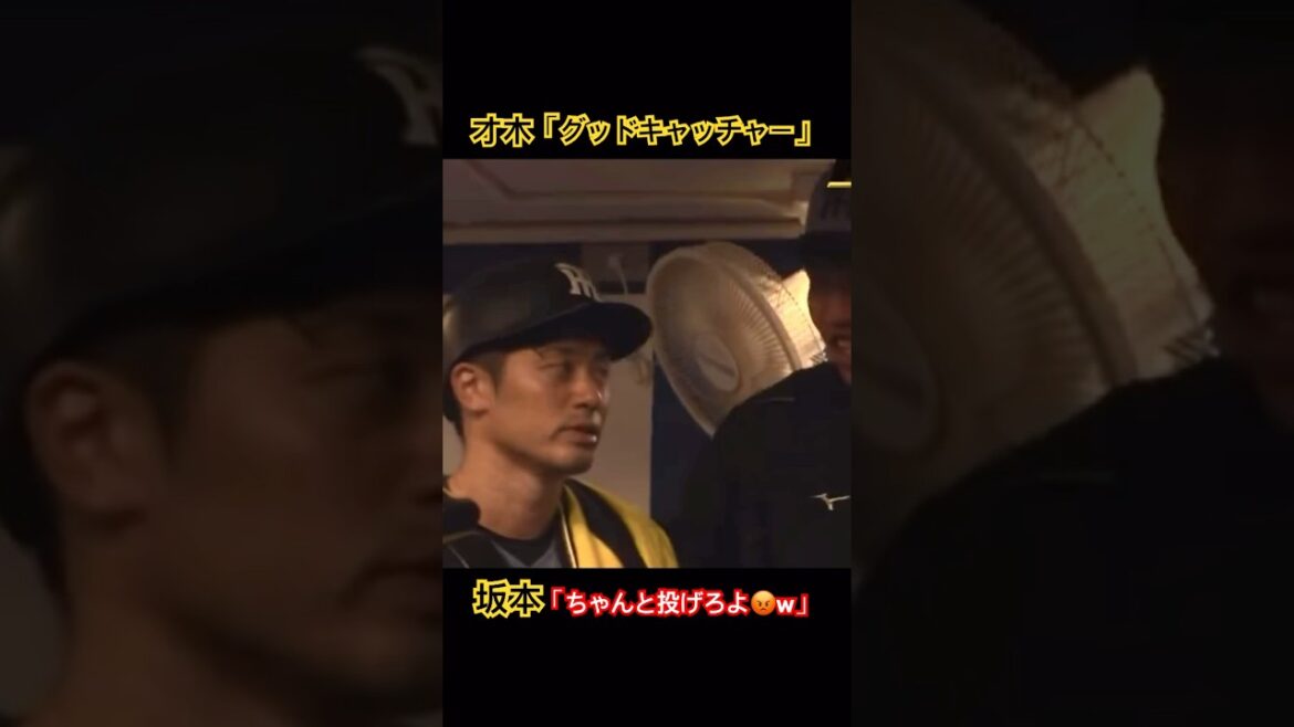 チョケる才木にちょいオコで返す坂本誠志郎www #阪神タイガース #坂本誠志郎 #才木浩人  #shorts