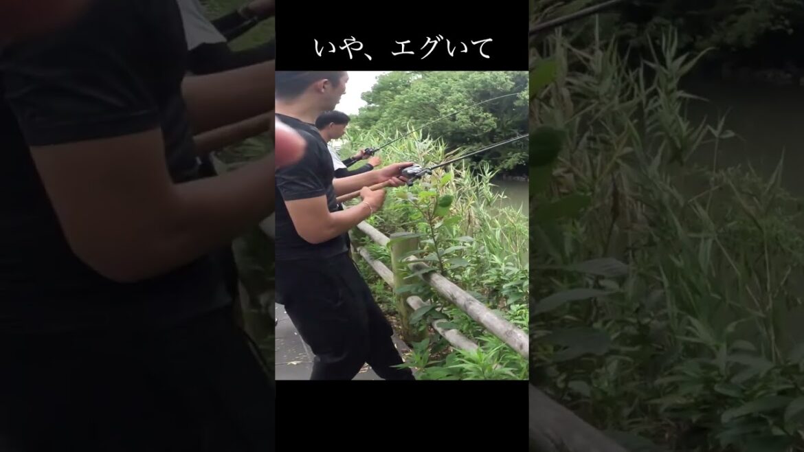 釣り人生で、こんな釣れ方初めて見た【バス釣り】 #shorts  #バス釣り