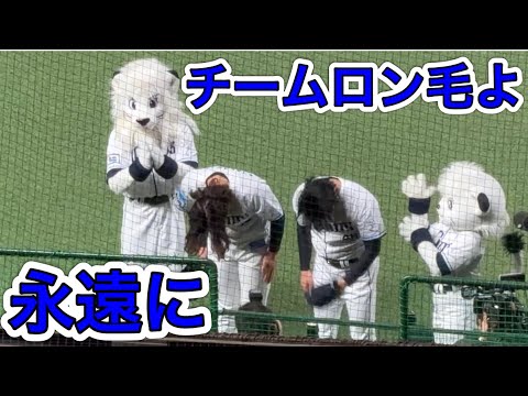 【ファン感謝デー締め括り】西川愛也の一本絞め➡︎グラウンド一周➡︎今井達也 涙のサヨナラ【LIONS THANKS FESTA】2025/11/23 【ファン感謝デー締め括り】西川愛也の一本絞め➡︎グラウンド一周➡︎今井達也 涙のサヨナラ【LIONS THANKS FESTA】2025/11/23