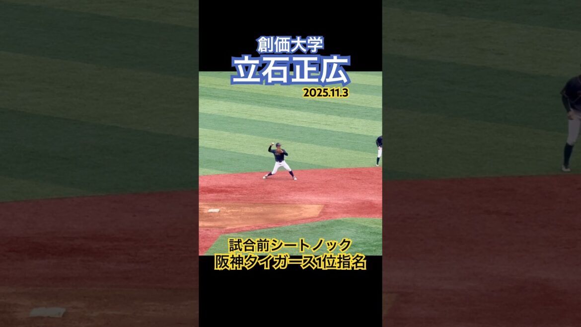 【阪神タイガース1位/セカンド守備】#立石正広 #ドラフト #創価大学 #阪神タイガース
