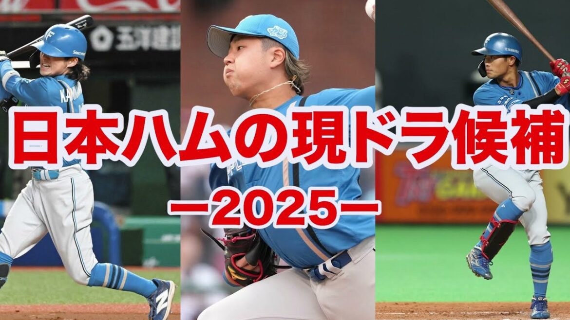 【現役ドラフト】日本ハムの現ドラ候補は宝の山⁉️今川優馬や堀瑞輝など宝の山が多すぎる 【現役ドラフト】日本ハムの現ドラ候補は宝の山⁉️今川優馬や堀瑞輝など宝の山が多すぎる