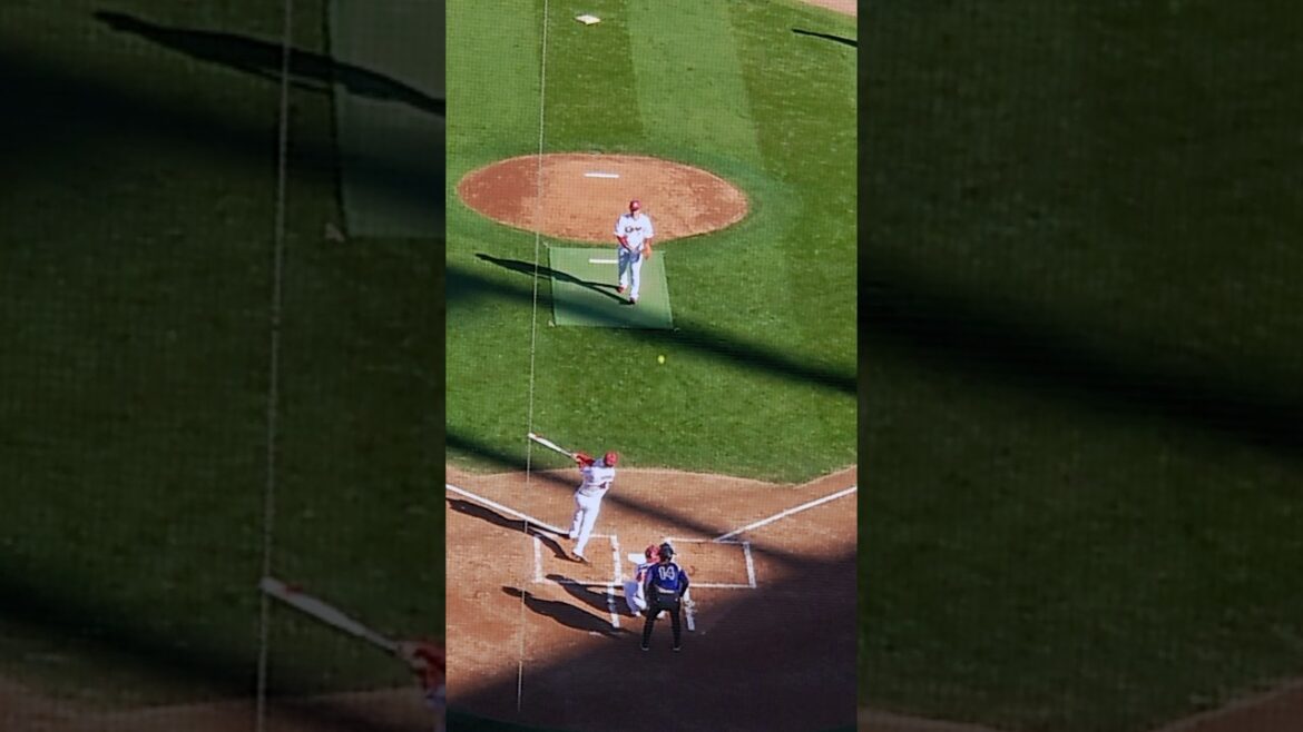 【ファン感】黄金バッテリー復活！#shorts   #carp  #堂林翔太  #磯村嘉孝