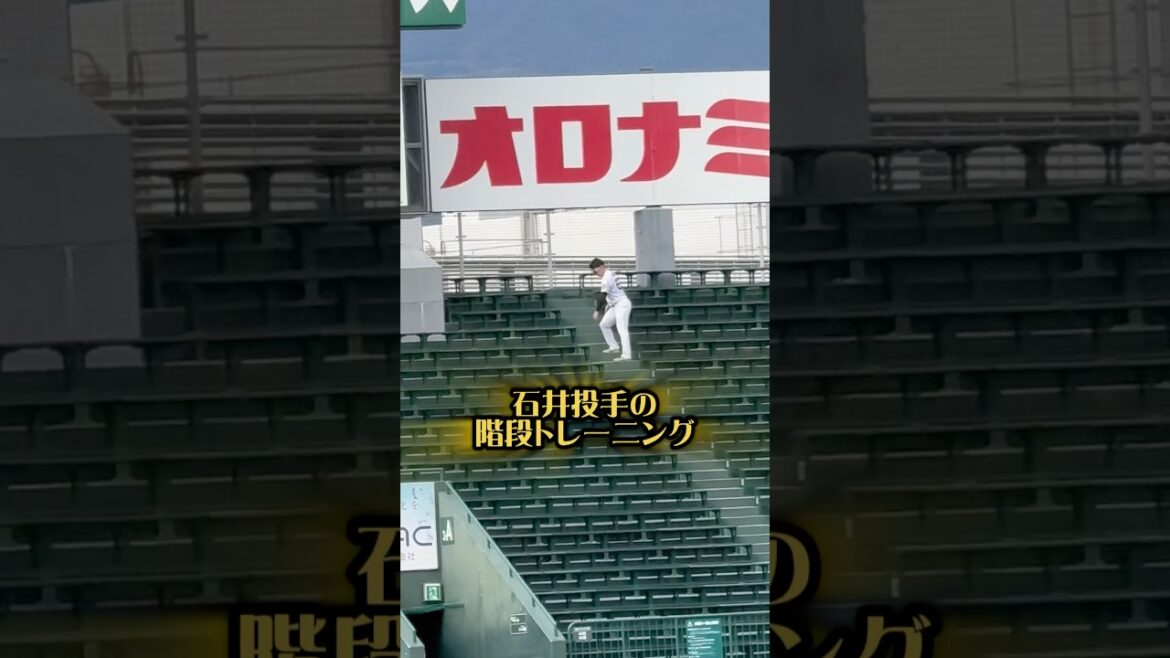 石井大智投手の階段トレーニング25/10日本シリーズ前 #阪神タイガース #阪神 #阪神ファン #石井大智 #プロ野球 #hanshintigers #秋田 #甲子園 #投手 #野球 #トレーニング
