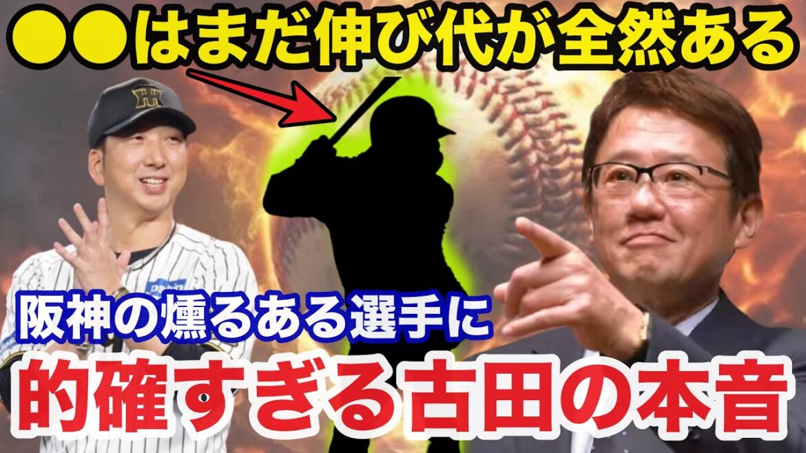 古田敦也「●●はまだ伸び代がある」阪神の燻るある選手に球界の頭脳.古田敦也が放った本音が的確すぎると話題に【阪神タイガース】