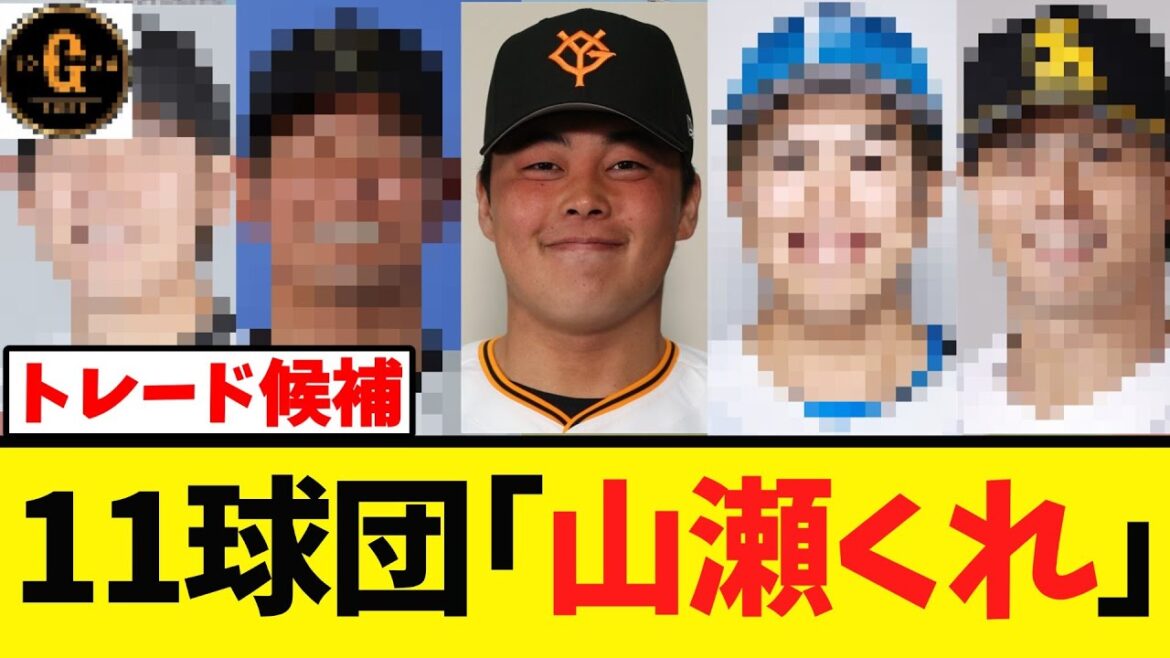 【熱望】山瀬 トレード候補者が他ファンから続々と寄せられる