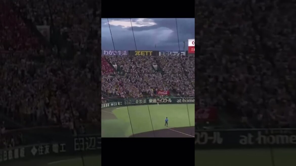 #shorts  大山悠輔満塁ホームラン‼️9号