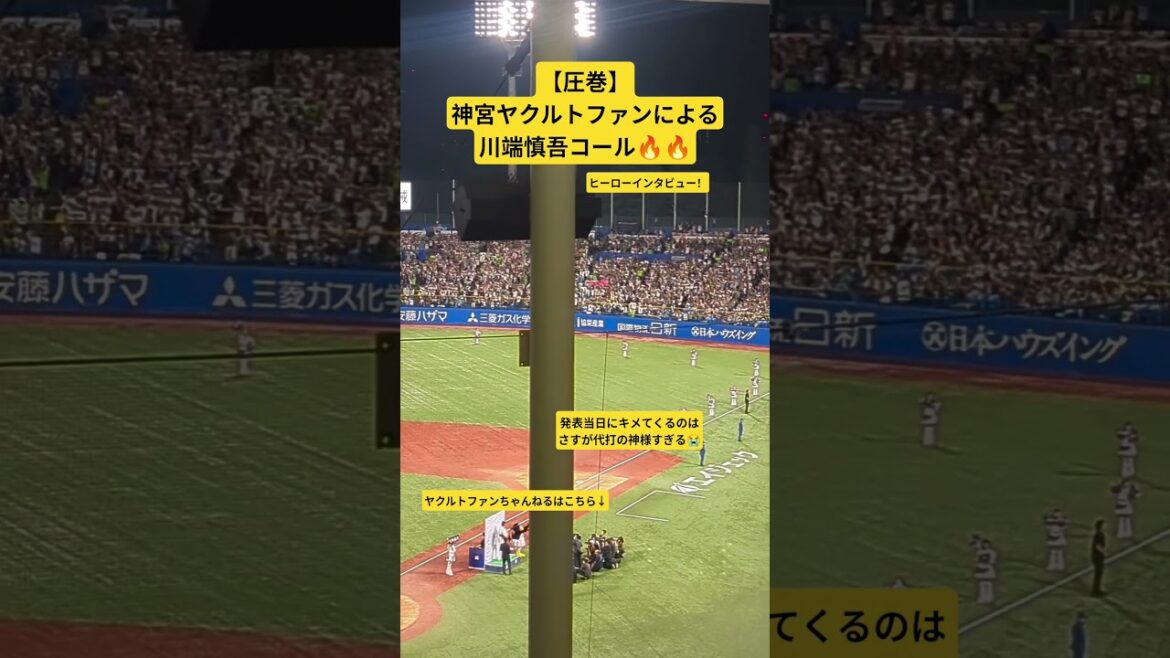 【圧巻】ヤクルトファンによる川端慎吾コール #川端慎吾 #ヤクルト #スワローズ #村上宗隆 #神宮球場 #ヤクルトファン #つばみ #つばみ #代打の神様 #山田哲人