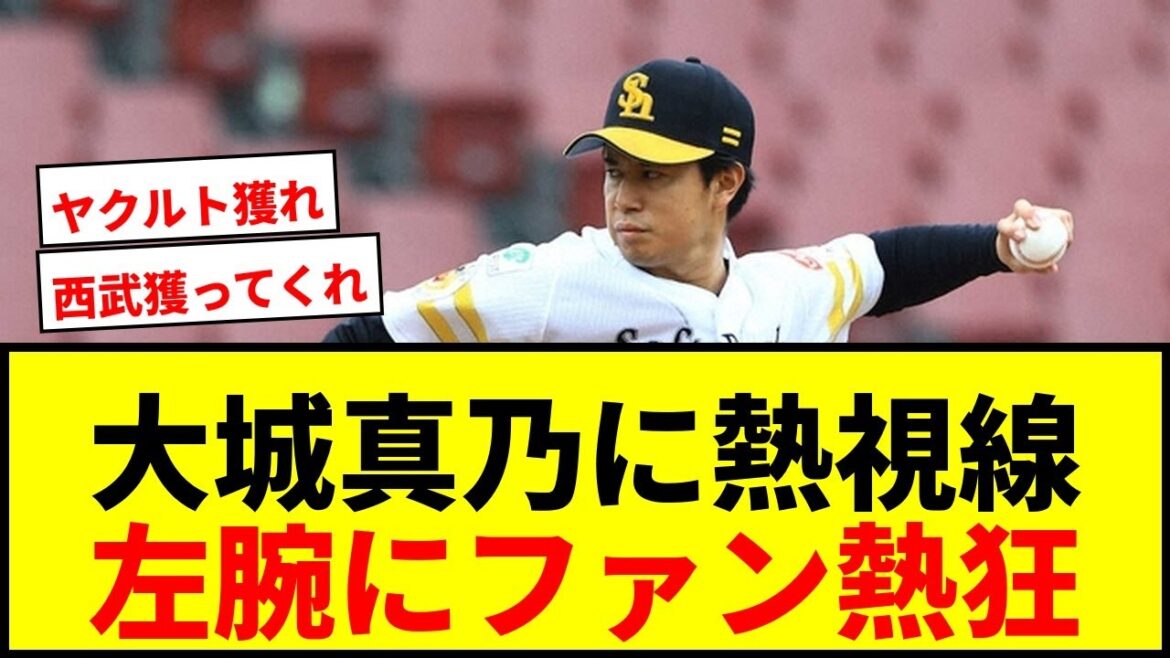 【衝撃】大城真乃、トライアウトで野球ファンを魅了!22歳左腕に「獲ってほしい」の声殺到wwww 【衝撃】大城真乃、トライアウトで野球ファンを魅了!22歳左腕に「獲ってほしい」の声殺到wwww