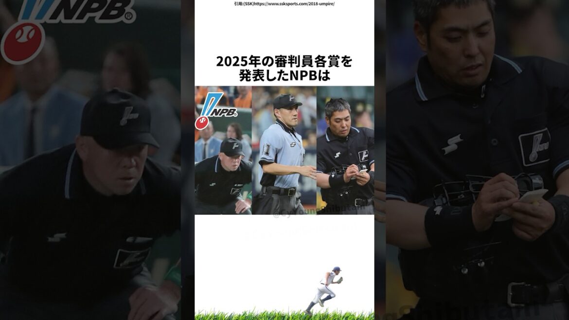 【プロ野球】先週実際に起こったプロ野球の出来事・雑学・エピソード1【11/17～11/23】