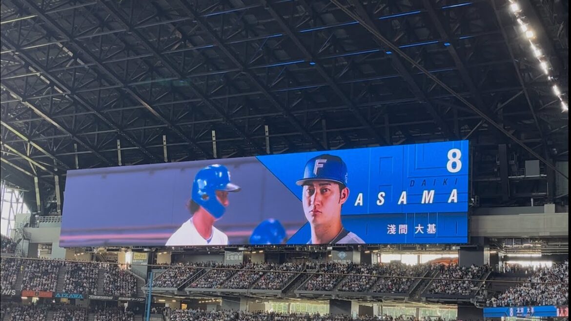 2025 ファイターズ 淺間大基 登場曲 カリスマックス- CHARISMAX/SnowMan