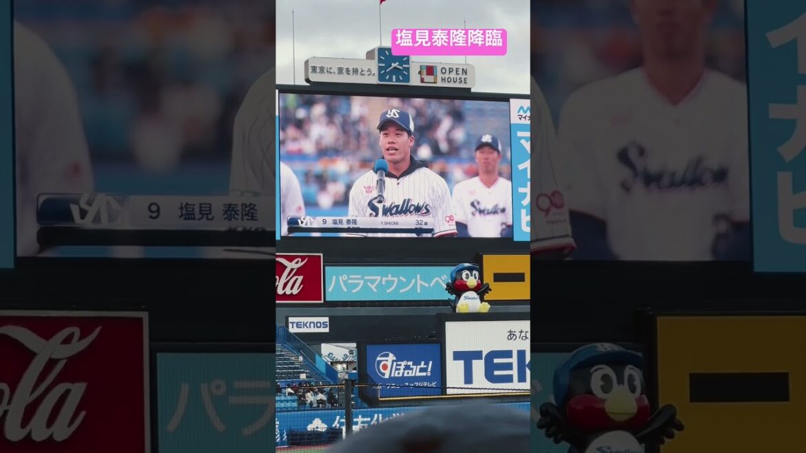 塩見泰隆神宮2回目の降臨！笑ヤクルトスワローズファン感2025