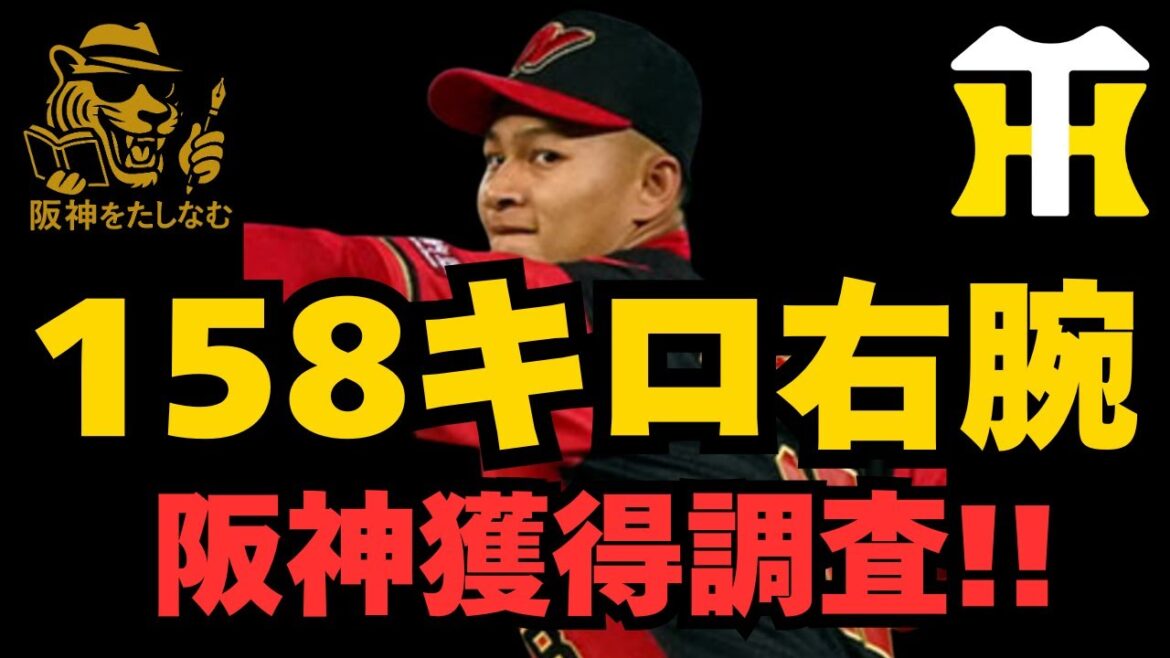 【阪神新外国人候補‼️】徐 若熙（シュー・ルオシー ）徹底考察‼️古林等と比較‼️#阪神タイガース ＃徐 若熙　シュー・ルオシー #阪神　助っ人外国人＃新外国人候補　2026＃阪神タイガースをたしなむ