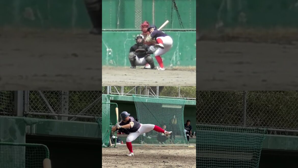 初球を捉えたレフト前ヒット2画面 #shorts #baseball #野球 #バッティング #野球のミカタ #打撃探究部屋