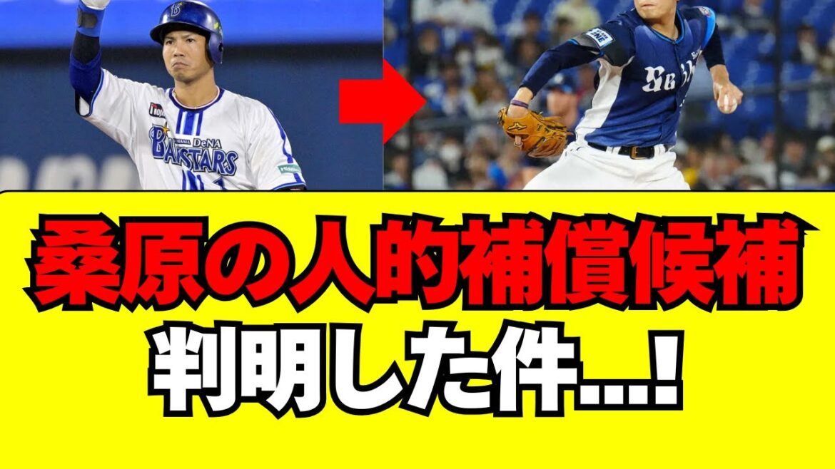 【DeNA】FA桑原の人的補償候補が判明・・・【西武】