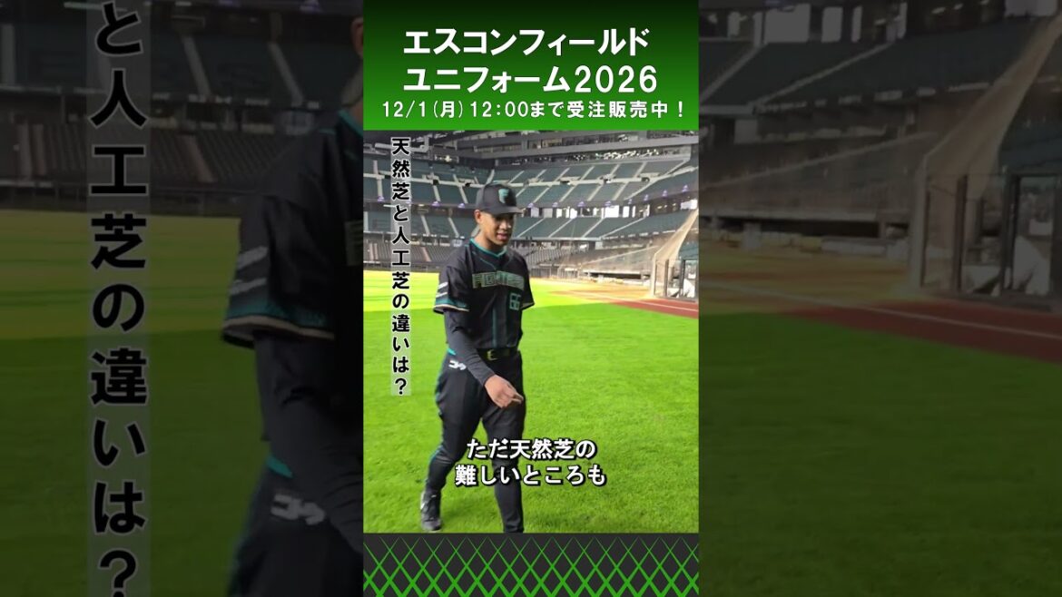 「過去イチにかっこいい‼️」万波中正選手にエスコンフィールドユニフォームについて聞いてみました😆#lovefighters 「過去イチにかっこいい‼️」万波中正選手にエスコンフィールドユニフォームについて聞いてみました😆#lovefighters