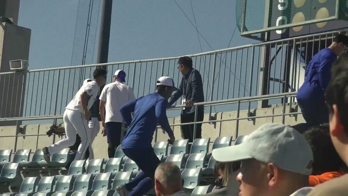 【中日ドラゴンズ 秋季キャンプ 2025】 細川成也選手・ブライト健太選手・橋本侑樹投手 ・梅野雄吾投手・勝野昌慶投手・福元悠真選手の階段トレーニングの様子 ④ 2025/11/15 ナゴヤ球場