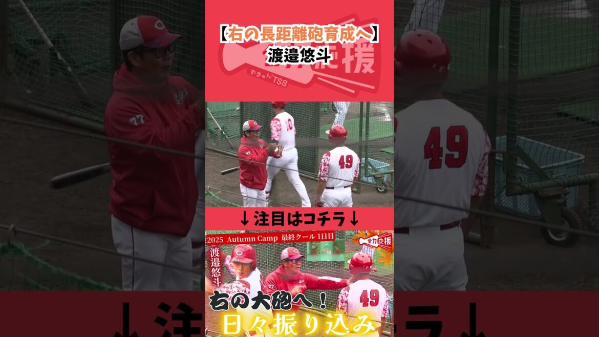 【右の長距離砲育成へ！】渡邉悠斗🔥【球団認定】カープ全力応援チャンネル
