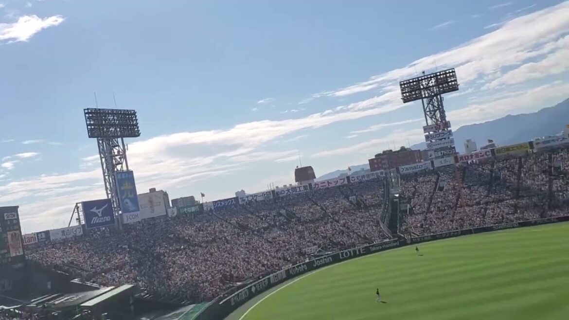 20240914　ﾏﾙﾁﾃｰﾏ叫ぼう！【T-WAVE】　3回ｳﾗ　阪神ﾀｲｶﾞｰｽ　ﾃｨｰｳｪｰﾌﾞ@阪神甲子園球場･ﾚﾌﾄ外野