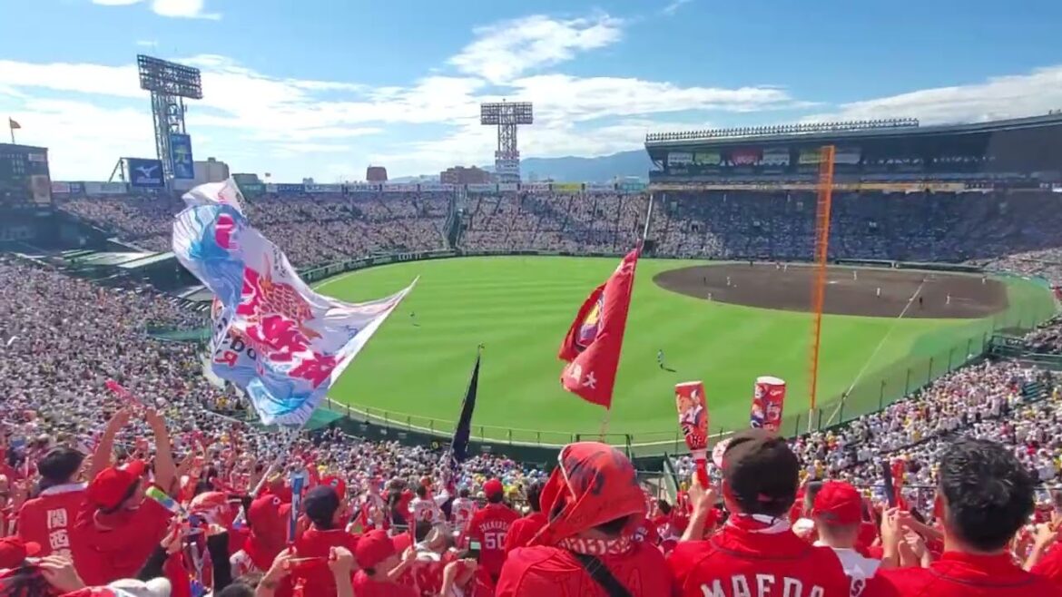 20240914 光を追い越してしまった【菊池涼介 応援歌】 3回表 広島東洋カープ@阪神甲子園球場・レフト外野 20240914 光を追い越してしまった【菊池涼介 応援歌】 3回表 広島東洋カープ@阪神甲子園球場・レフト外野