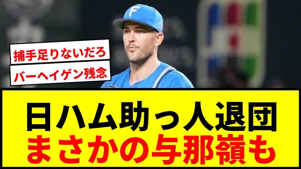 【速報】日本ハム、ザバラ&バーヘイゲン助っ人右腕が退団!異色経歴のマイカ与那嶺も 【速報】日本ハム、ザバラ&バーヘイゲン助っ人右腕が退団!異色経歴のマイカ与那嶺も