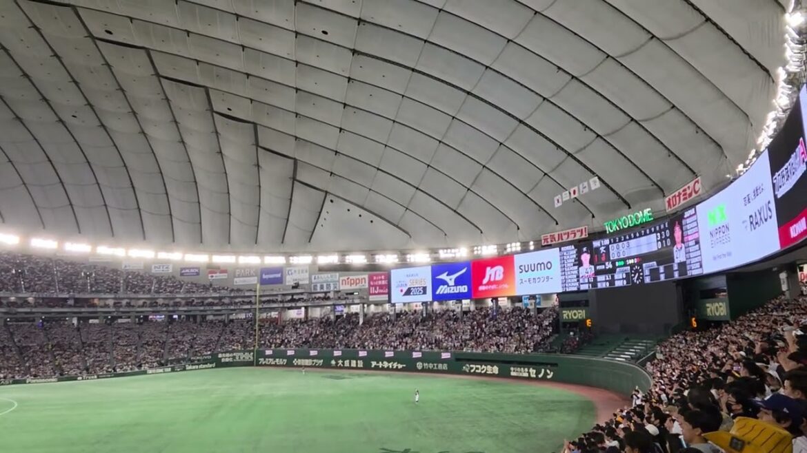 2025/11.15 侍ジャパン27中村悠平応援歌