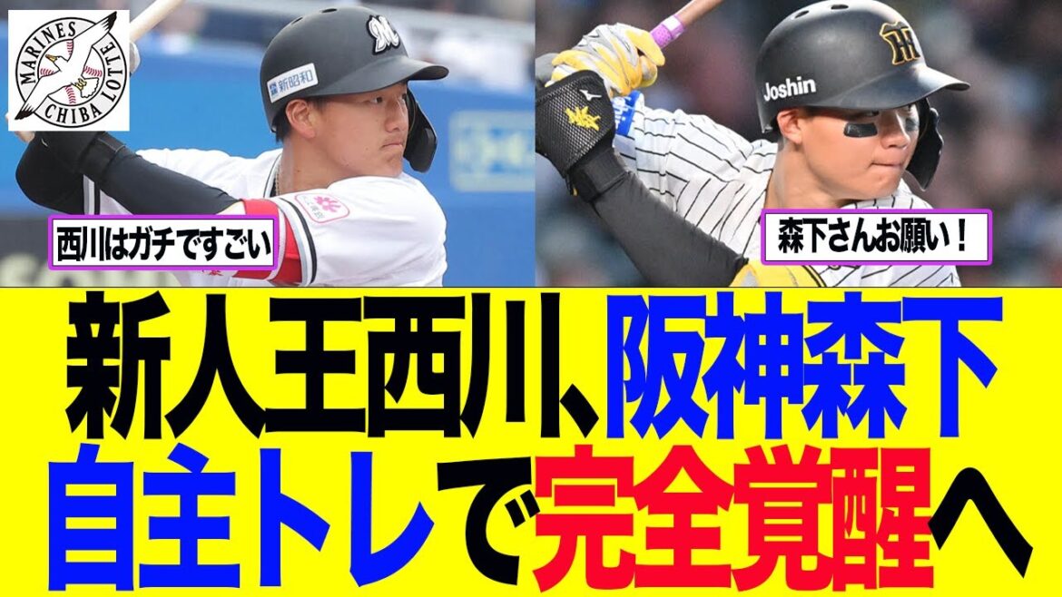 【ロッテ】新人王西川、阪神森下自主トレで完全覚醒へ ロッテファン反応集 【ロッテ】新人王西川、阪神森下自主トレで完全覚醒へ ロッテファン反応集