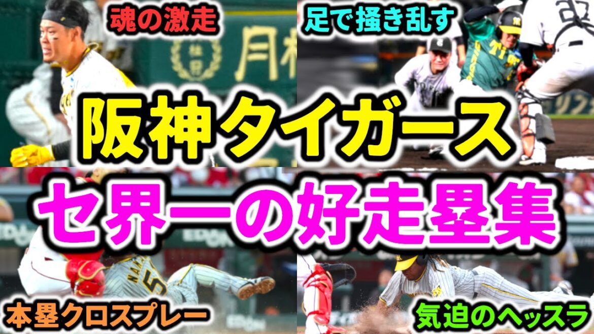 【爆走】阪神タイガース セ界一の好走塁集!! 積極的に次の塁を狙う走塁意識の高さ!! 【爆走】阪神タイガース セ界一の好走塁集!! 積極的に次の塁を狙う走塁意識の高さ!!