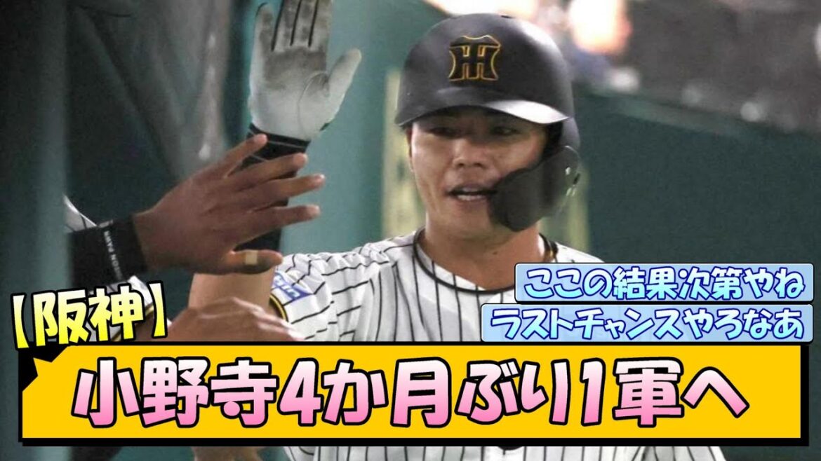 【阪神】小野寺4か月ぶり1軍へ