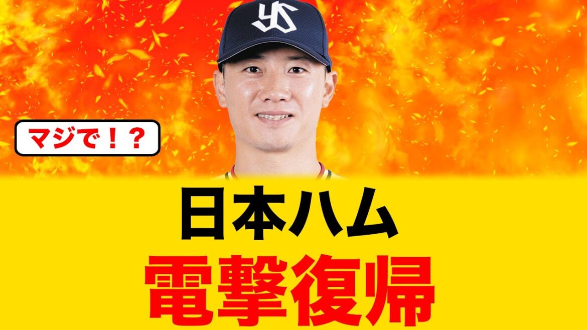 【速報】ヤクルト戦力外の西川遥輝が日本ハムに電撃復帰!!【北海道日本ハムファイターズ】 【速報】ヤクルト戦力外の西川遥輝が日本ハムに電撃復帰!!【北海道日本ハムファイターズ】