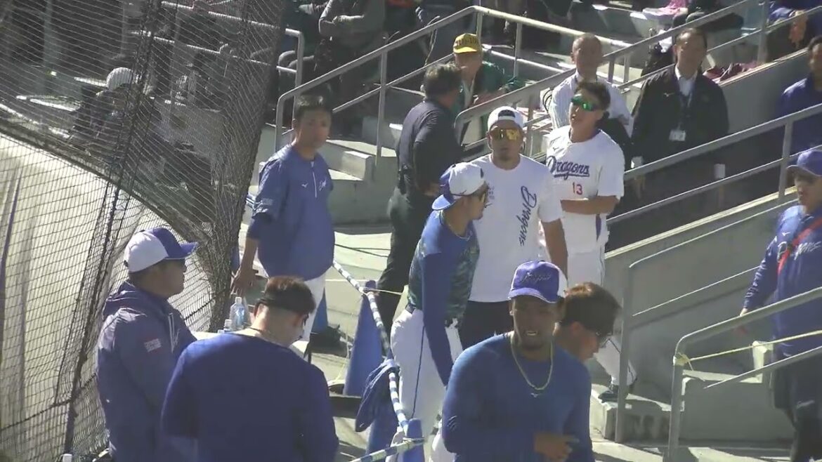 【中日ドラゴンズ 秋季キャンプ 2025】 細川成也選手・ブライト健太選手・橋本侑樹投手 ・梅野雄吾投手・勝野昌慶投手・福元悠真選手の階段トレーニングの様子 ② 2025/11/15 ナゴヤ球場